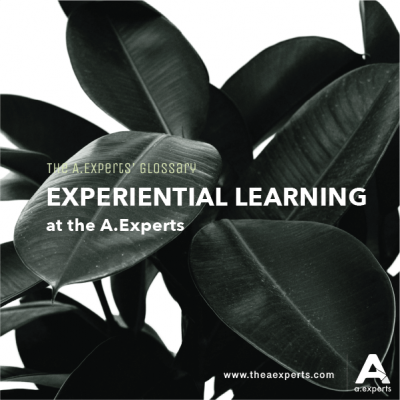 Experiential Learning at The A.Experts