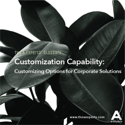 Customization Capability: Customizing Options for Corporate Solutions