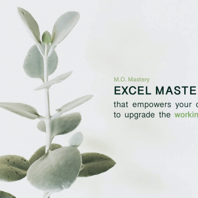 Excel Mastery _ PRESS RELEASE: New Service Announcement